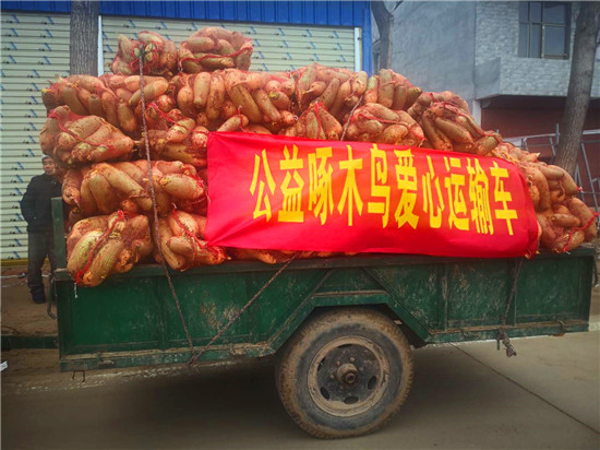 ＂愛心蘿卜＂來了！