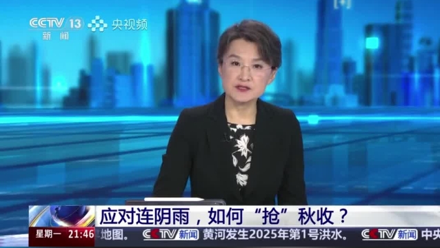 【主流媒體看周口】面對(duì)連陰雨 如何“搶”秋收？