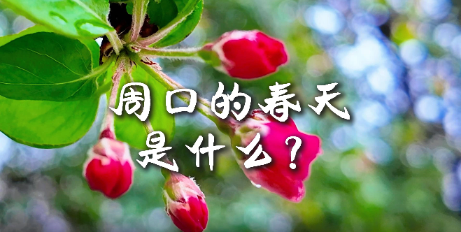 周口的春天，待你慢慢遇見